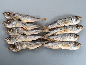 あじ焼き干し