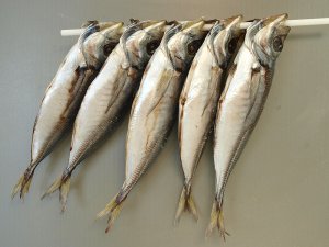 マアジの丸干し