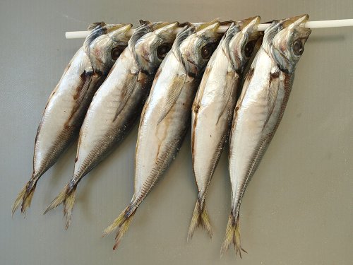 丸干し