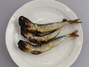 マイワシの丸干し