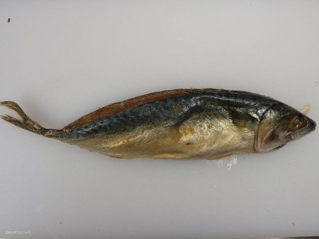さばの塩漬け