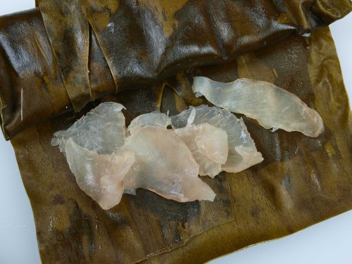 くるまだいの昆布締め（マトウダイの昆布締め）