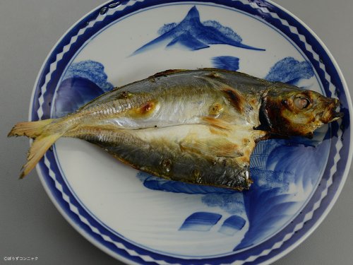開き干し