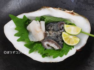 ヒレナシシャコの刺身