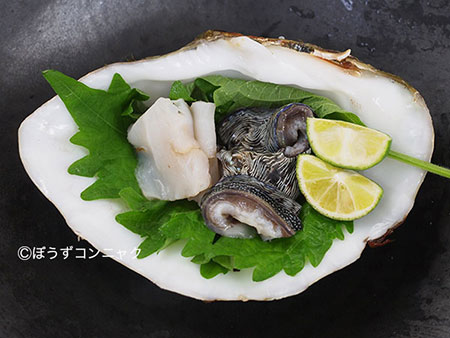 ヒレナシシャコの刺身
