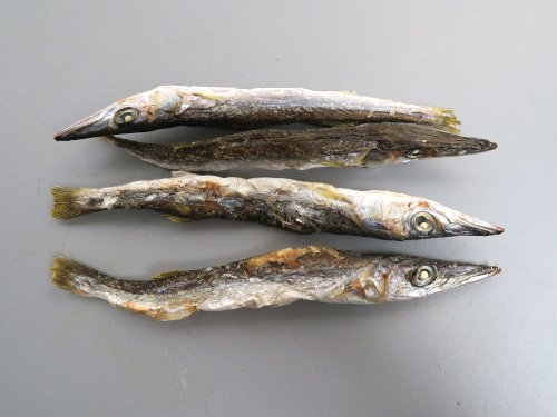 煮干し