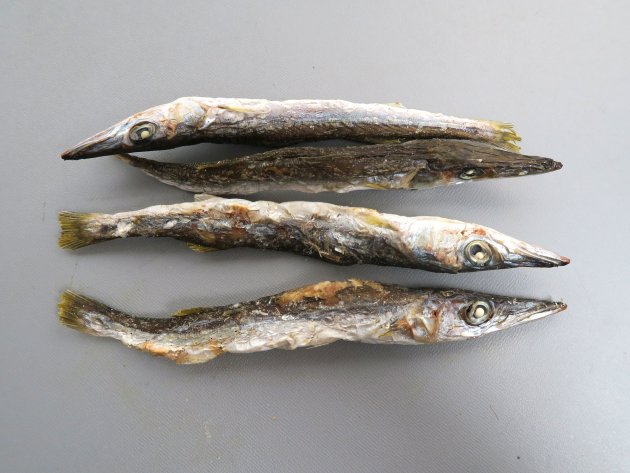 カマスの煮干し