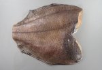 ウマガレイのサムネイル写真