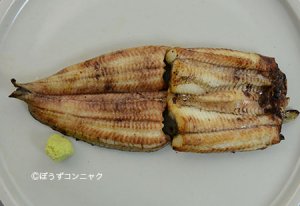 ヨーロッパウナギの白焼き