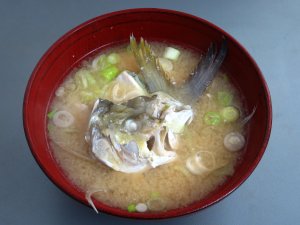 テンジクアジのみそ汁