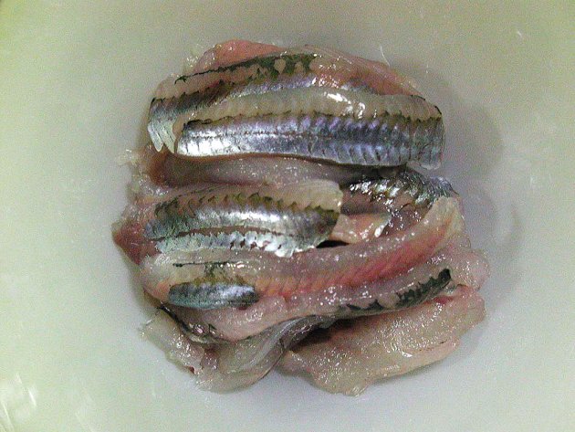 めろうどの刺身