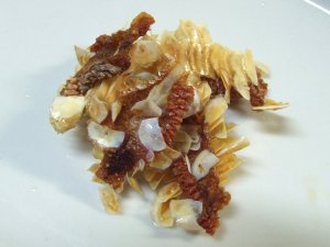 ナミマツカサの皮の素揚げ