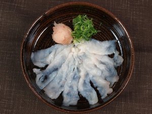 ショウサイフグの薄造り