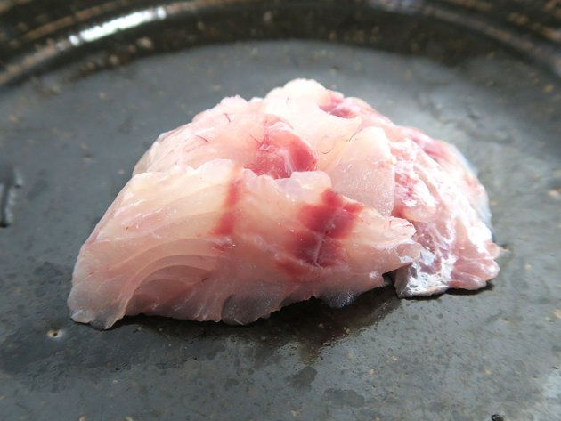 ウロコマツカサの刺身