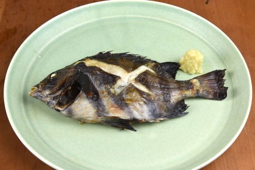 シマダイの塩焼き
