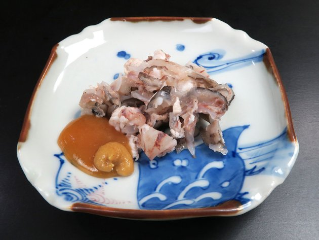 ダルマザメのすくめ