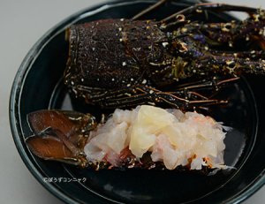 カノコイセエビの刺身