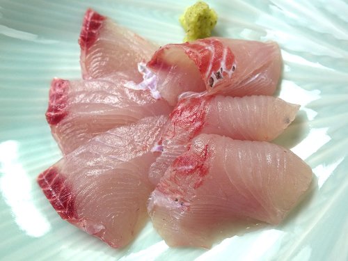 チカメエチオピアの刺身