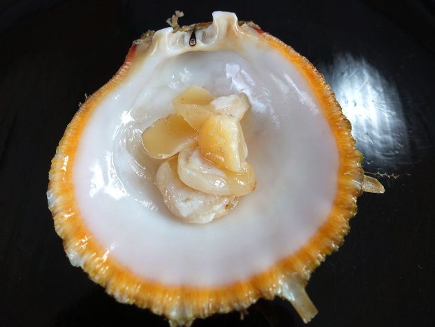 メンガイの刺身