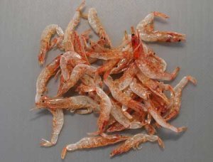 サクラエビの素干し