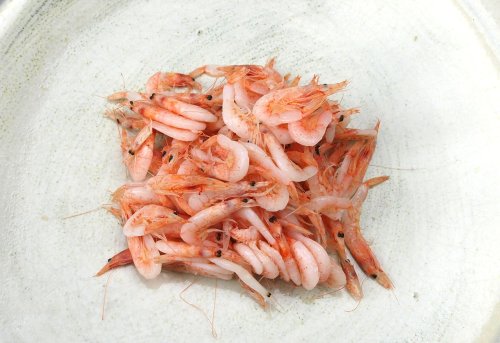 サクラエビの釜揚げ