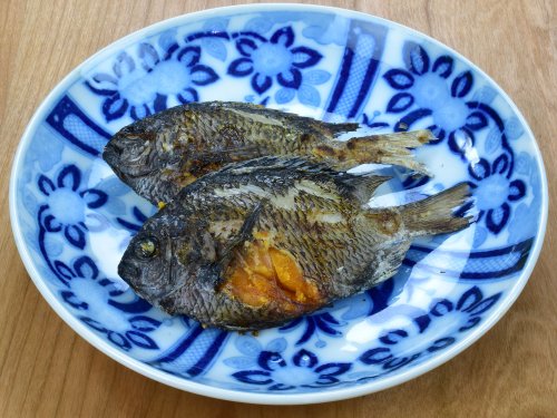 スズメダイの塩焼き