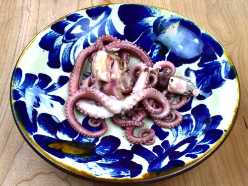 シマダコの塩ゆで