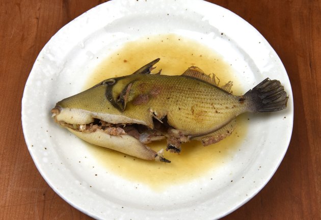 ムスメハギ | 魚類 | 市場魚貝類図鑑