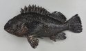 ゴマソイのサムネイル写真