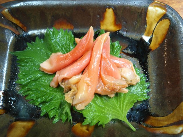 バカガイの刺身