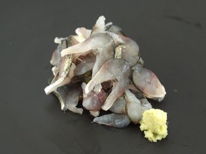 ウグイの背ごし