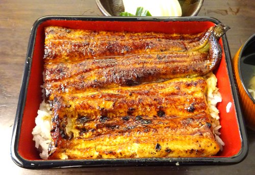うな重