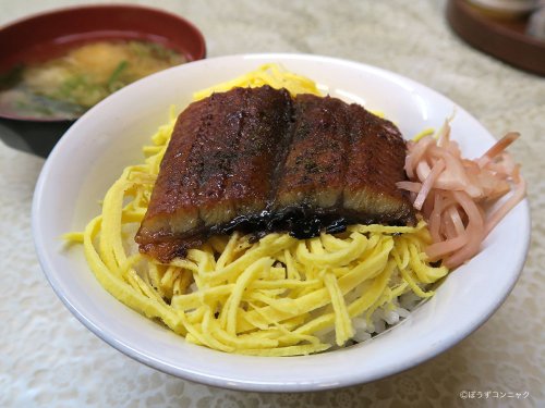 きんし丼