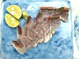 ウメイロの焼霜造り