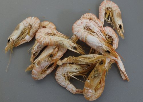 サルエビの干しエビ（がらえび、かちえび）