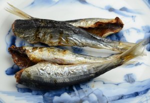 ウルメイワシの丸干し