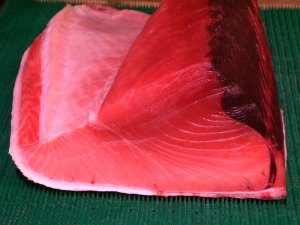 ミナミマグロの断面