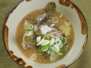 アオハタのみそ汁