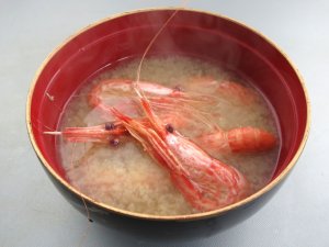 モロトゲアカエビのみそ汁