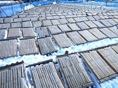 長野県茅野市の寒天作り
