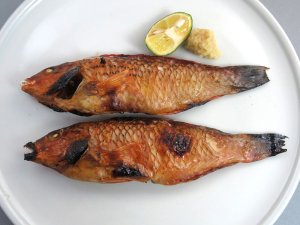 ホシササノハベラの素焼き