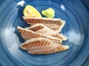 ホシササノハベラの焼霜造り