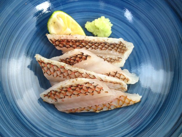 ホシササノハベラの焼霜造り