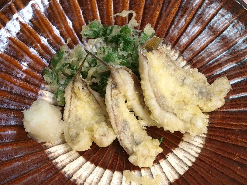 クラカケトラギスの天ぷら