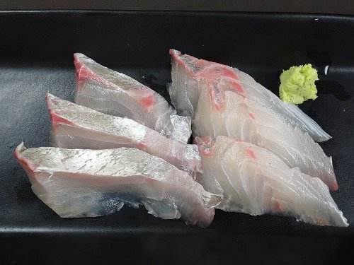 カイワリの刺身