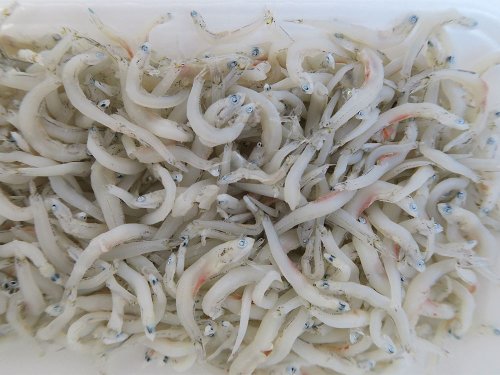 おかずなご