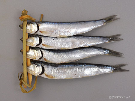 目ざし