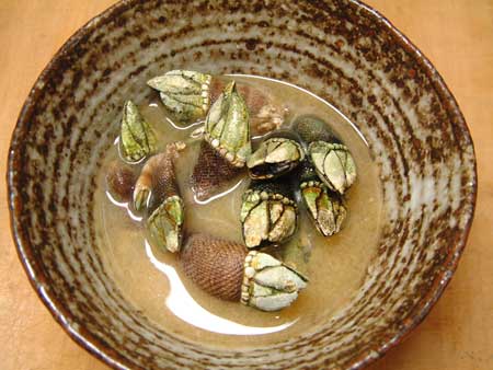 カメノテのみそ汁