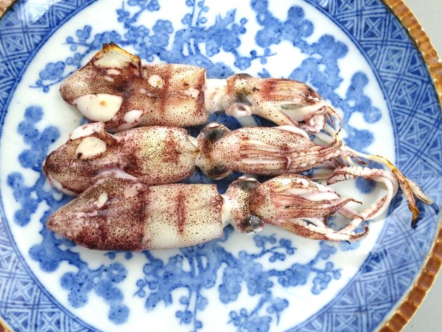 ジンドウイカの塩焼き