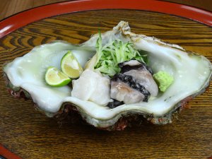 ギーラの刺身